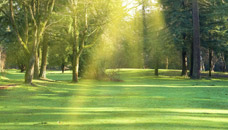 Atkins-Shively Funeral Home